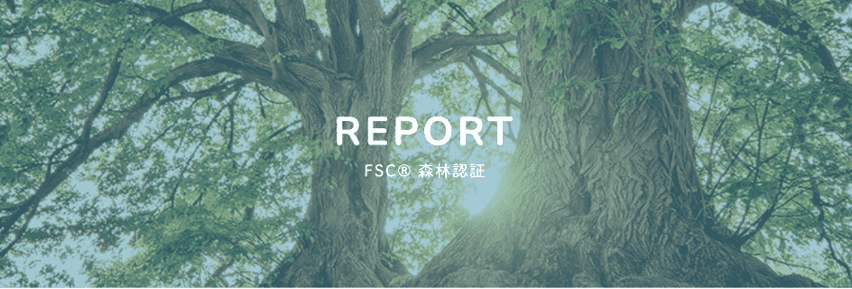 FSC® 森林認証の取得ページのリンク